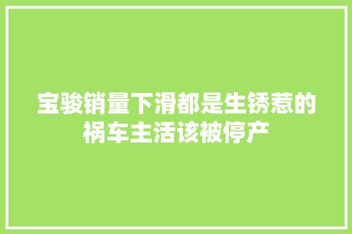 宝骏销量下滑都是生锈惹的祸车主活该被停产