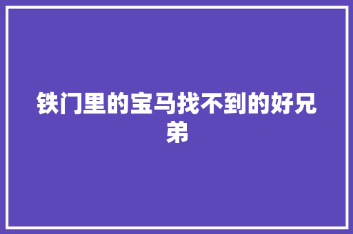 铁门里的宝马找不到的好兄弟