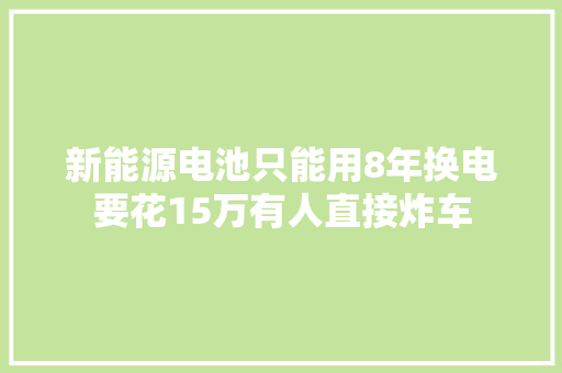 新能源电池只能用8年换电要花15万有人直接炸车