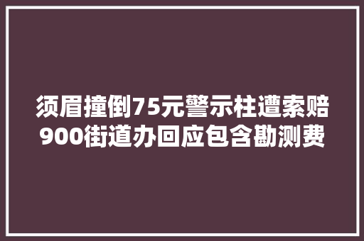 须眉撞倒75元警示柱遭索赔900街道办回应包含勘测费和人工费