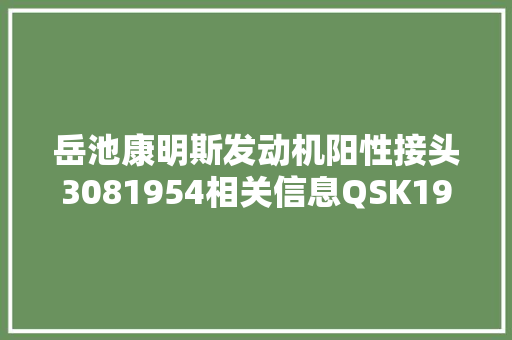 岳池康明斯发动机阳性接头3081954相关信息QSK19柴油机