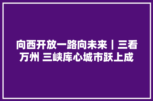 向西开放一路向未来｜三看万州 三峡库心城市跃上成长快车道
