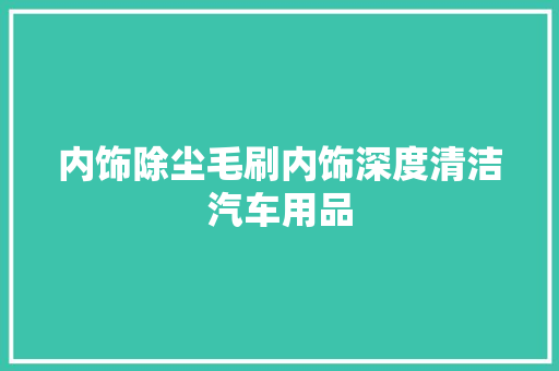 内饰除尘毛刷内饰深度清洁汽车用品