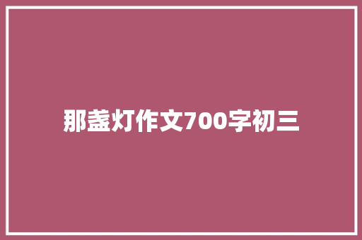 那盏灯作文700字初三