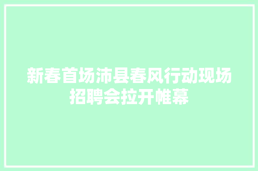 新春首场沛县春风行动现场招聘会拉开帷幕
