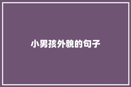 小男孩外貌的句子