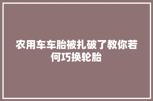农用车车胎被扎破了教你若何巧换轮胎
