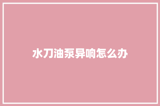 水刀油泵异响怎么办