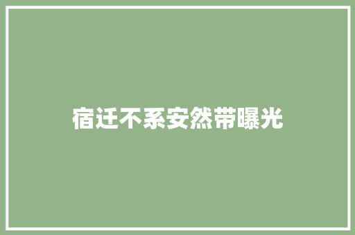 宿迁不系安然带曝光