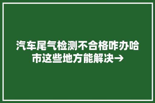 汽车尾气检测不合格咋办哈市这些地方能解决→