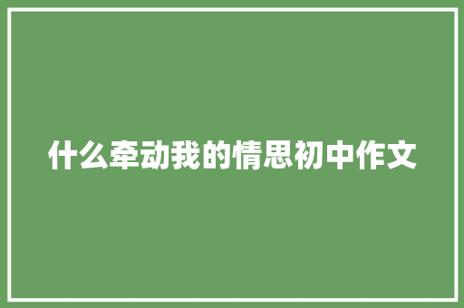 什么牵动我的情思初中作文