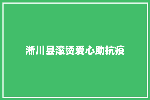 淅川县滚烫爱心助抗疫
