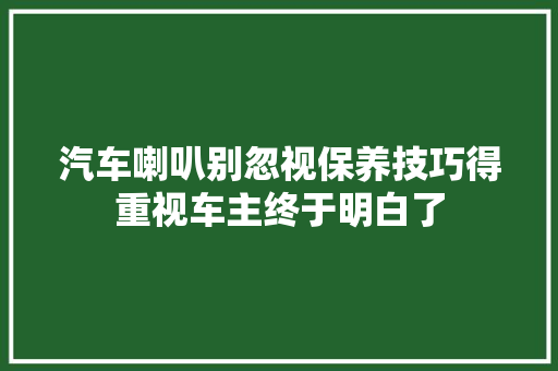 汽车喇叭别忽视保养技巧得重视车主终于明白了
