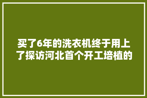 买了6年的洗衣机终于用上了探访河北首个开工培植的易地扶贫迁居安置小区