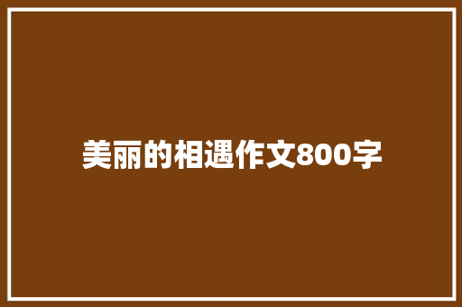 美丽的相遇作文800字