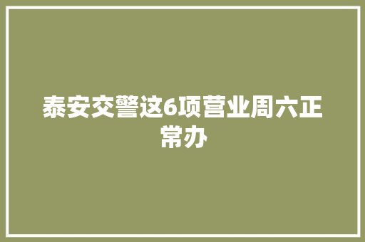 泰安交警这6项营业周六正常办