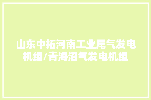 山东中拓河南工业尾气发电机组/青海沼气发电机组