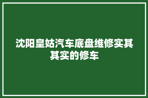 沈阳皇姑汽车底盘维修实其其实的修车 汽车知识