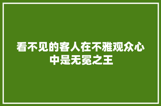 看不见的客人在不雅观众心中是无冕之王 汽车知识