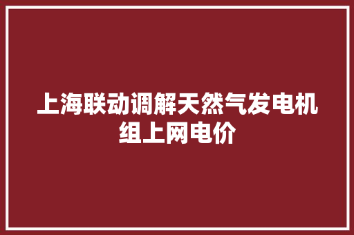 上海联动调解天然气发电机组上网电价