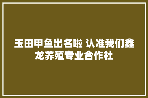 玉田甲鱼出名啦 认准我们鑫龙养殖专业合作社