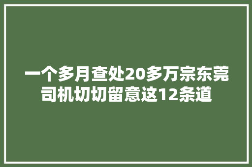 一个多月查处20多万宗东莞司机切切留意这12条道