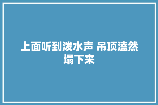上面听到泼水声 吊顶溘然塌下来 汽车知识