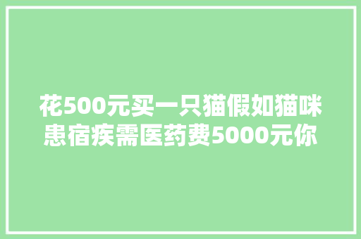 花500元买一只猫假如猫咪患宿疾需医药费5000元你会治吗