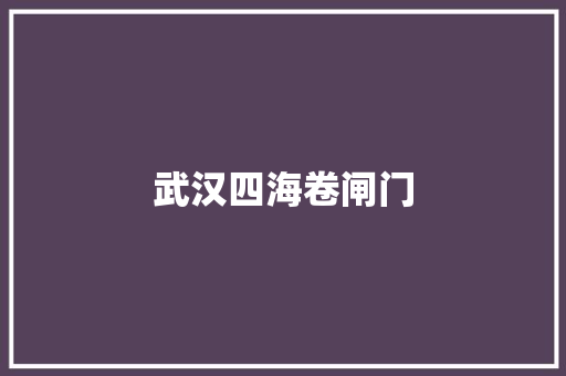 武汉四海卷闸门