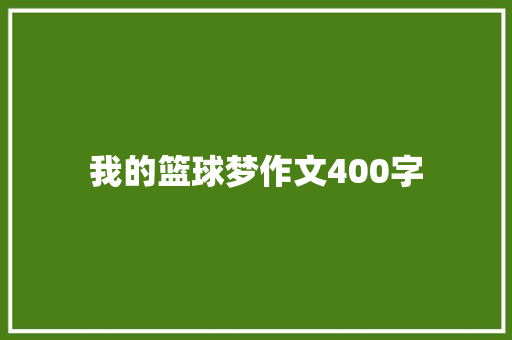 我的篮球梦作文400字