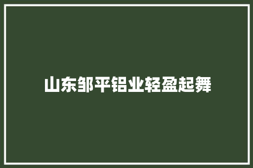 山东邹平铝业轻盈起舞