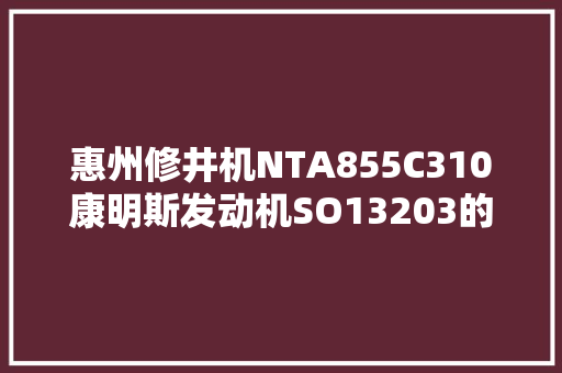 惠州修井机NTA855C310康明斯发动机SO13203的主要机能参数