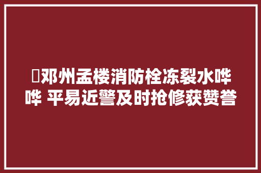 ​邓州孟楼消防栓冻裂水哗哗 平易近警及时抢修获赞誉