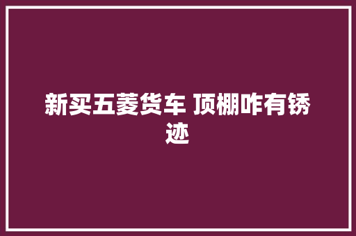 新买五菱货车 顶棚咋有锈迹  第1张