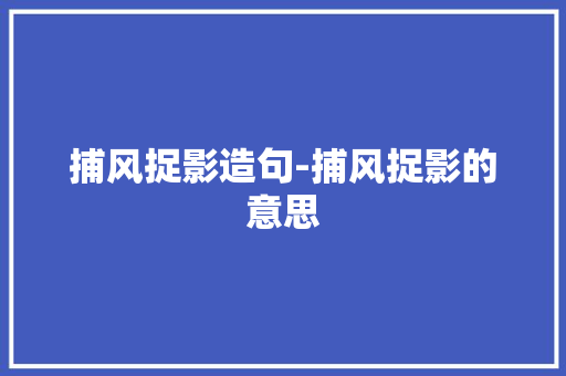 捕风捉影造句-捕风捉影的意思