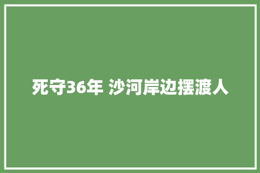 死守36年 沙河岸边摆渡人