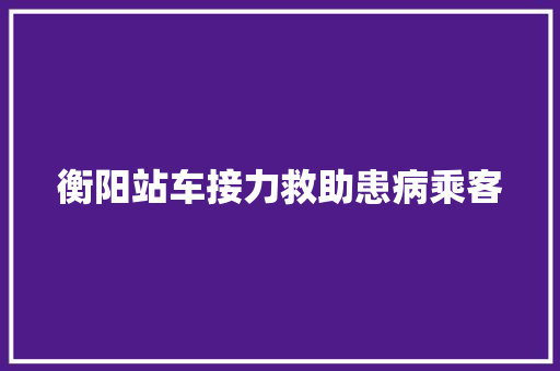 衡阳站车接力救助患病乘客