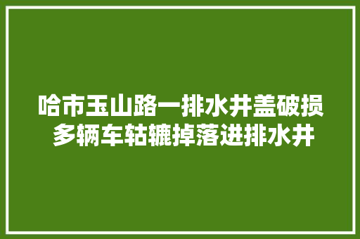 哈市玉山路一排水井盖破损 多辆车轱辘掉落进排水井