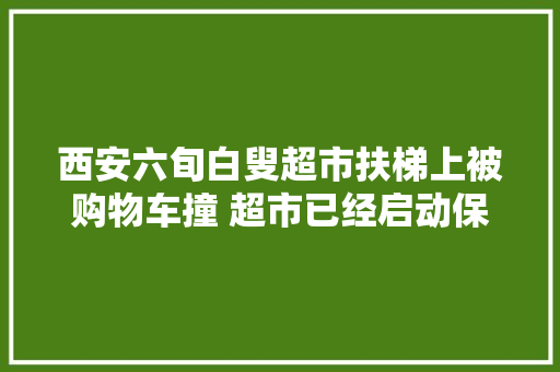 西安六旬白叟超市扶梯上被购物车撞 超市已经启动保险赔偿轨范