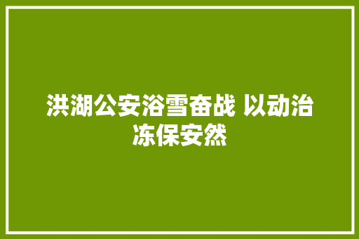 洪湖公安浴雪奋战 以动治冻保安然 汽车知识