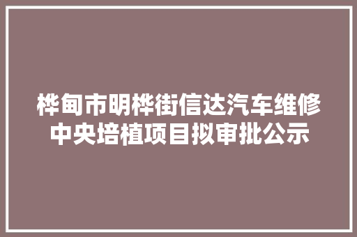 桦甸市明桦街信达汽车维修中央培植项目拟审批公示