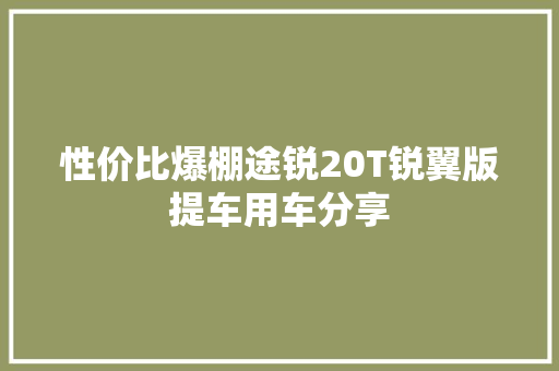 性价比爆棚途锐20T锐翼版提车用车分享