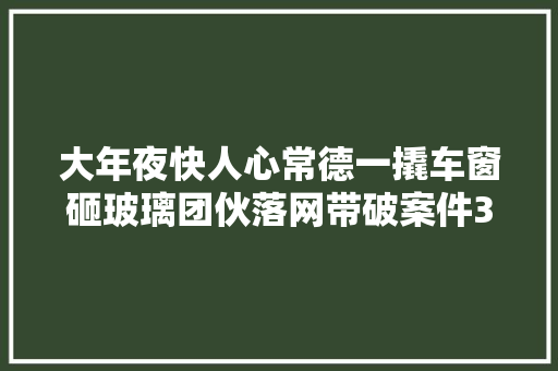 大年夜快人心常德一撬车窗砸玻璃团伙落网带破案件30余起