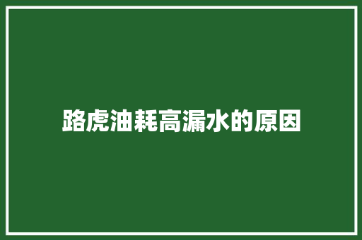 路虎油耗高漏水的原因