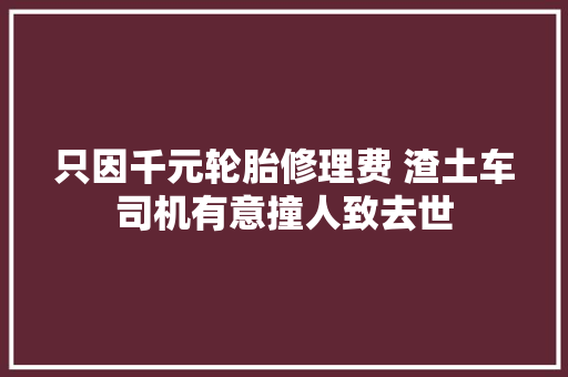 只因千元轮胎修理费 渣土车司机有意撞人致去世