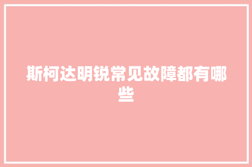 斯柯达明锐常见故障都有哪些