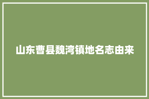 山东曹县魏湾镇地名志由来