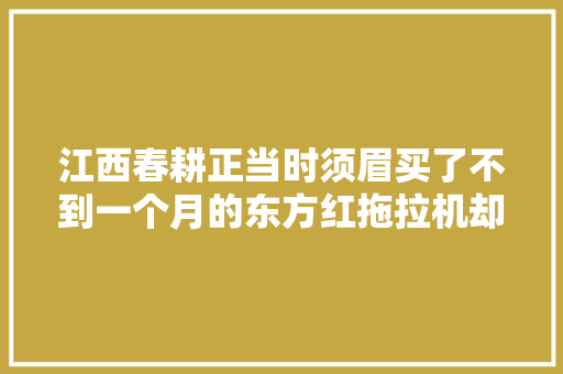 江西春耕正当时须眉买了不到一个月的东方红拖拉机却罢工了 汽车知识