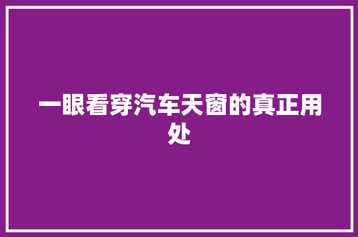 一眼看穿汽车天窗的真正用处 汽车知识