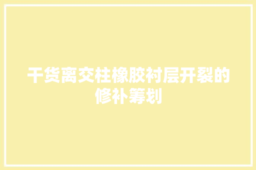 干货离交柱橡胶衬层开裂的修补筹划